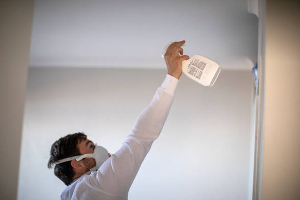 Best Mold Removal Near Me  in Quinlan, TX