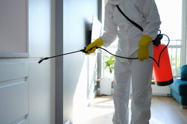 Best Mold Damage Repair  in Quinlan, TX
