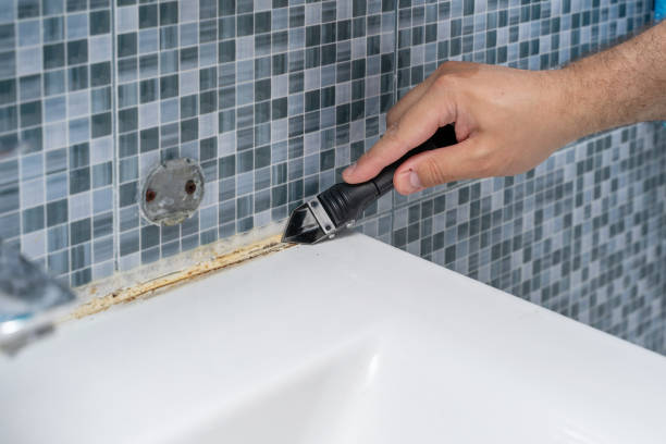 Best Toxic Mold Removal  in Quinlan, TX